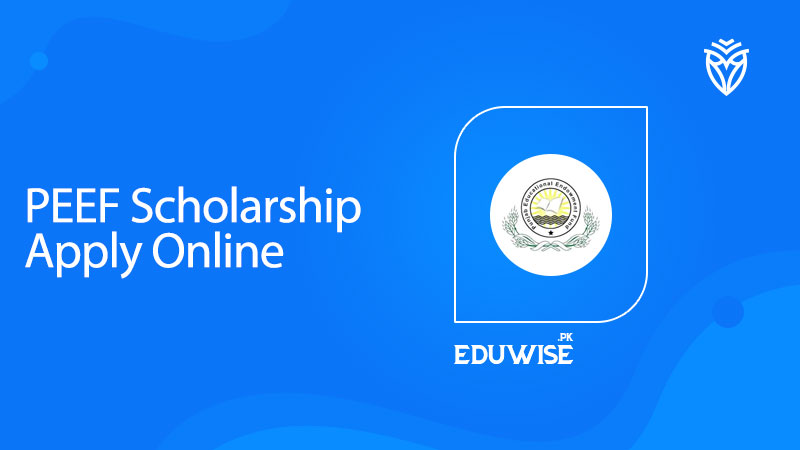 PEEF Scholarship